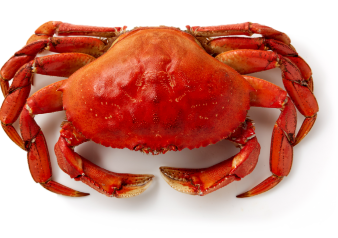 https://stg.alaskaseafood.org/wp-content/uploads/crab-2.png